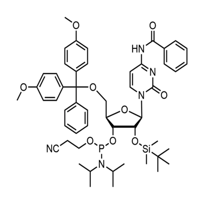Bz-rC Fosforamidit